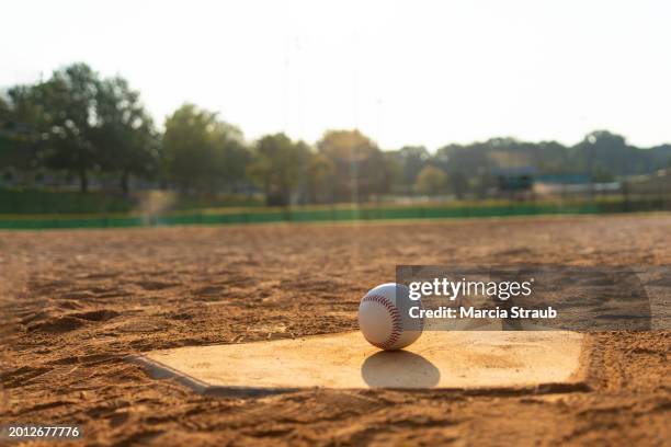 baseball on home base looking out into the field - seam stock pictures, royalty-free photos & images