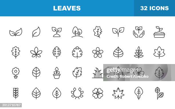leaf and plant line icons. editable stroke. contains such icons as leaf, plant, nature, environment, ecology, oak, palm, maple, pine, flower, hemp, laurel, seed. - pinetree garden seeds stock illustrations