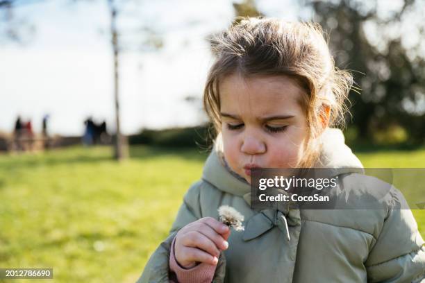 elementary age girl outdoors in park blowing dandelion - coco stock pictures, royalty-free photos & images