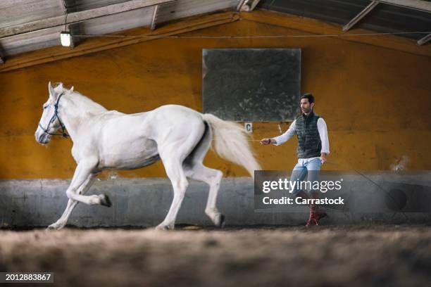 young man training a horse at the equestrian center - stirrup stock pictures, royalty-free photos & images