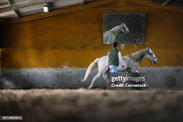 young man training a horse at the equestrian center - stirrup stock pictures, royalty-free photos & images