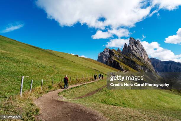 trekking path at seceda mountain peak in dolomites ortisei val gardena - parco naturale puez odle foto e immagini stock