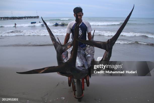 Muhammad Fish 1,849 Muhammad Fish Stock Photos, High-Res Pictures, and Images - Getty ...