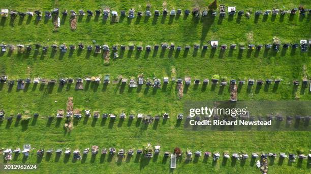 cemetery gravestones - loss of habitat stock pictures, royalty-free photos & images