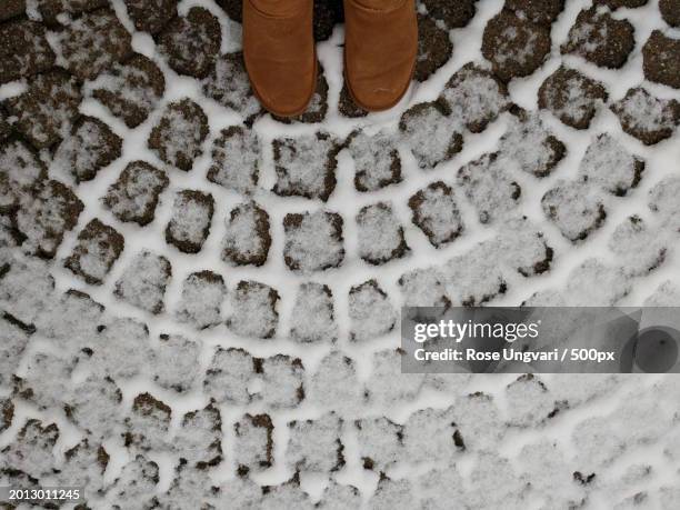low section of man standing on snow covered field,birmingham,michigan,united states,usa - birmingham michigan stock pictures, royalty-free photos & images