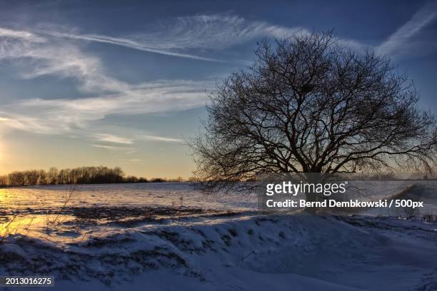 scenic view of snow covered field against sky during sunset - bernd dembkowski stock-fotos und bilder