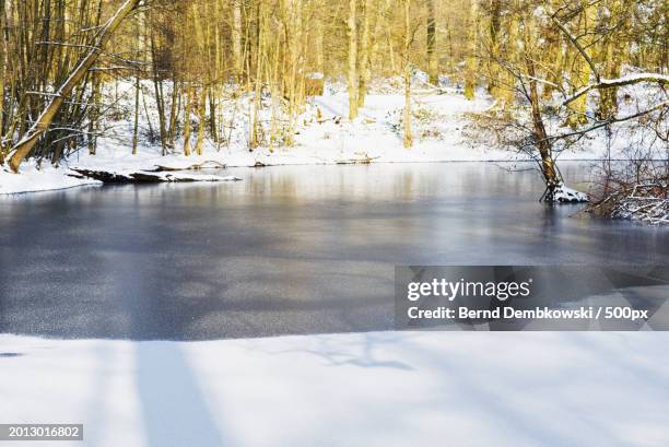 scenic view of frozen lake during winter - bernd dembkowski stock pictures, royalty-free photos & images