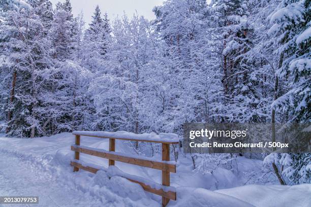 empty bench in snow covered park - renzo gherardi foto e immagini stock