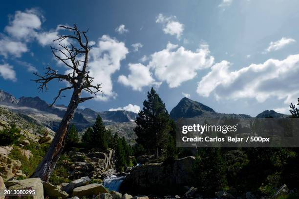 scenic view of trees and mountains against sky - viajes stock pictures, royalty-free photos & images