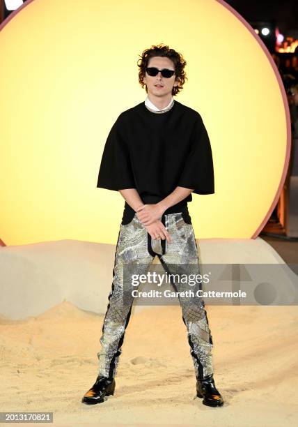 Timothée Chalamet attends the World Premiere of "Dune: Part Two" in Leicester Square on February 15, 2024 in London, England.