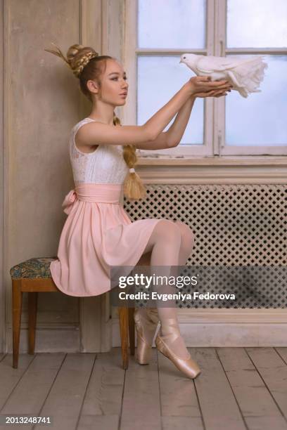 ballerina on pointe shoes on a chair with a dove - beautiful girls legs stock pictures, royalty-free photos & images