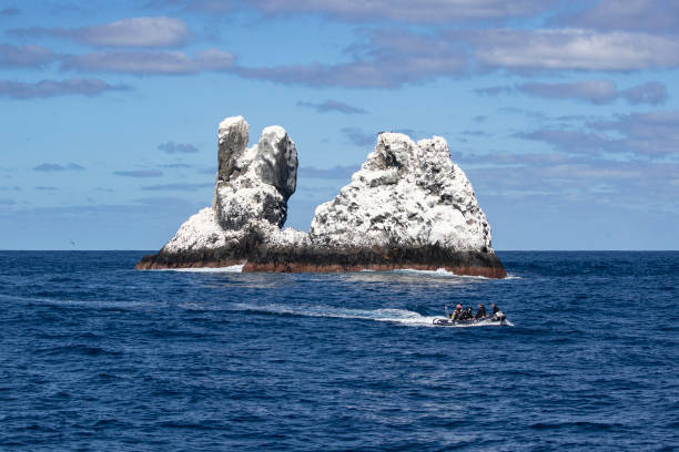 MEX: Diving Enthusiasts Visit The Revillagigedo Islands