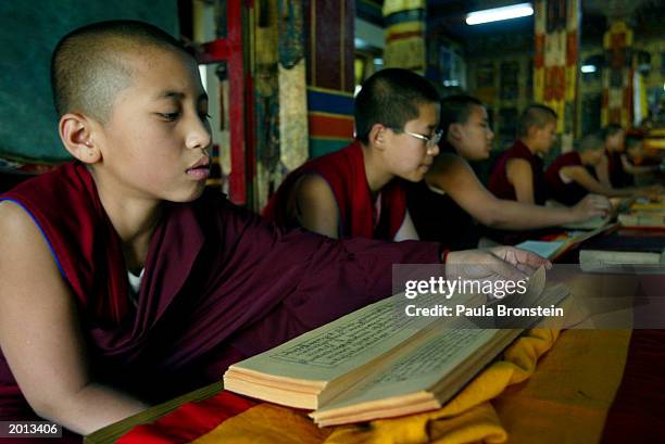 Choling Choling Monastery Photos and Premium High Res Pictures - Getty Images
