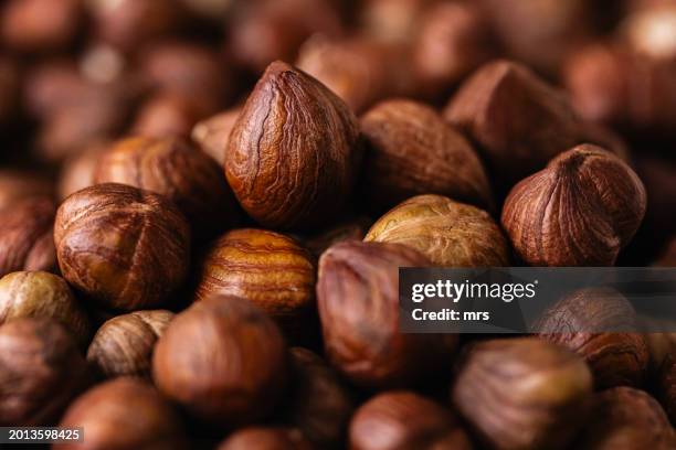 peeled and organic hazelnuts - fruit-à-coque photos et images de collection