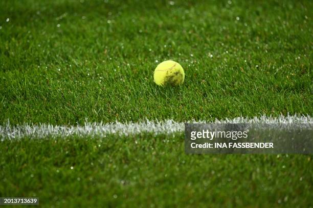 Tennis ball thrown on to the pitch by fans protesting against the DFL is pictured during the German first division Bundesliga football match between...