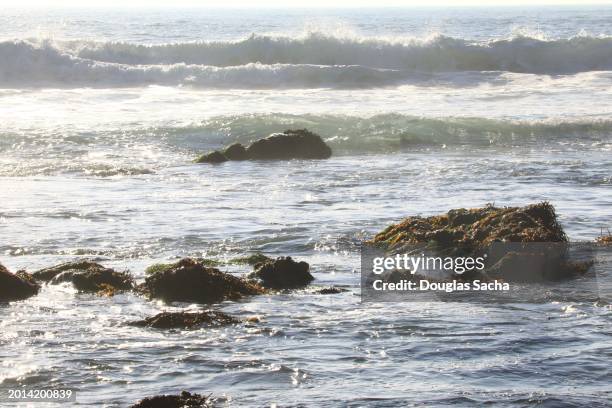 tidal pool in the rocky sea bottom - high tide low tide stock pictures, royalty-free photos & images