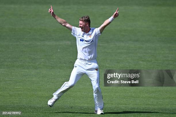 Riley Meredith of the Tigers appeals during the Sheffield Shield match between Tasmania and Western Australia at Blundstone Arena, on February 16 in...