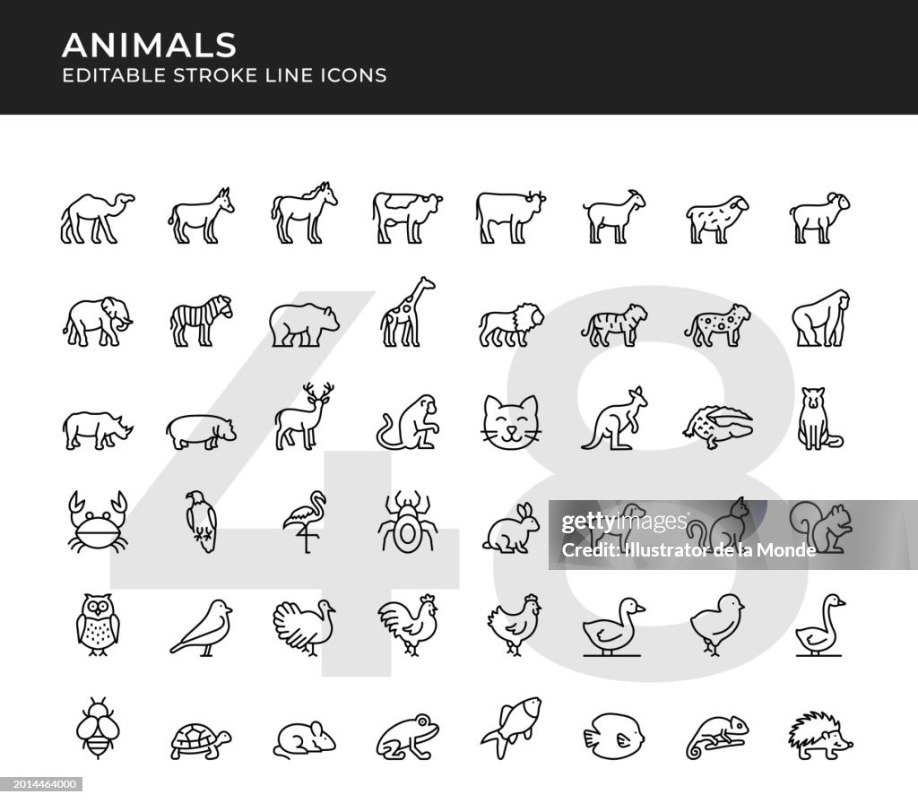 Iconos de línea editables de animales salvajes y domésticos