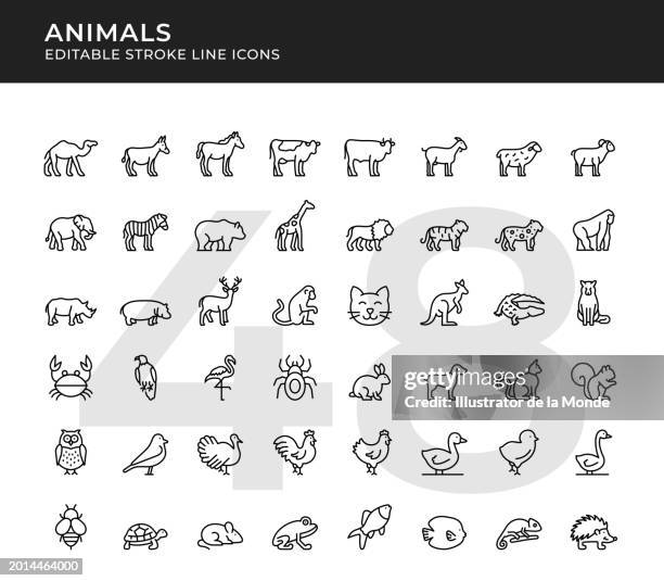 stockillustraties, clipart, cartoons en iconen met wild and domestic animal editable line icons - leeuwin