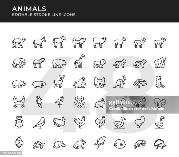 wild and domestic animal editable line icons - turkey bird icon stock illustrations