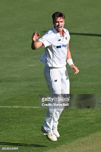 Iain Carlisle of the Tigers appeals during the Sheffield Shield match between Tasmania and Western Australia at Blundstone Arena, on February 16 in...