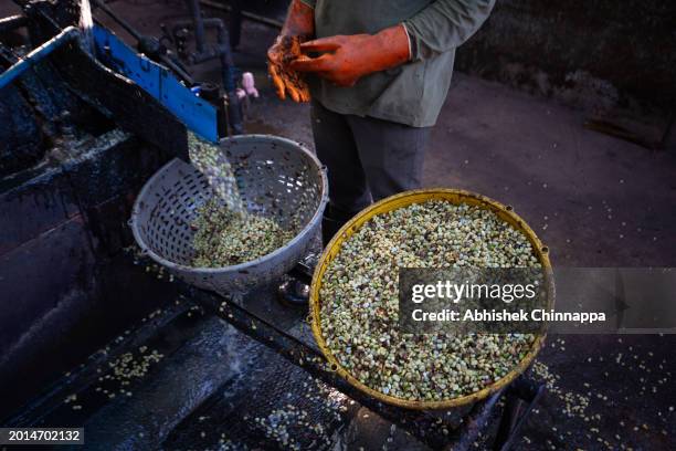 Stunning Arabica Coffee Beans Processing Methods image