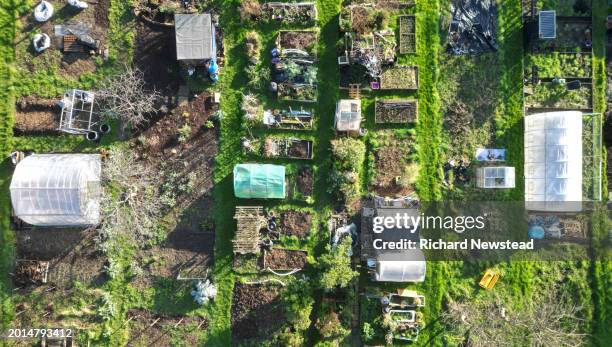 community allotments - flora environment stock pictures, royalty-free photos & images