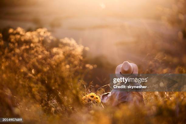 back view of a woman relaxing in tall grass on a hill at sunset. - eastern european stock pictures, royalty-free photos & images