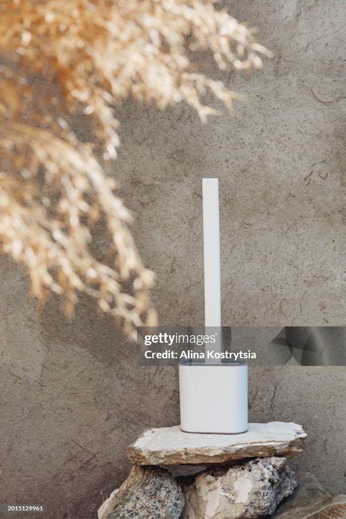 Toilet brush on stone podium on background of concrete wall with dried natural pampas grass in foreground