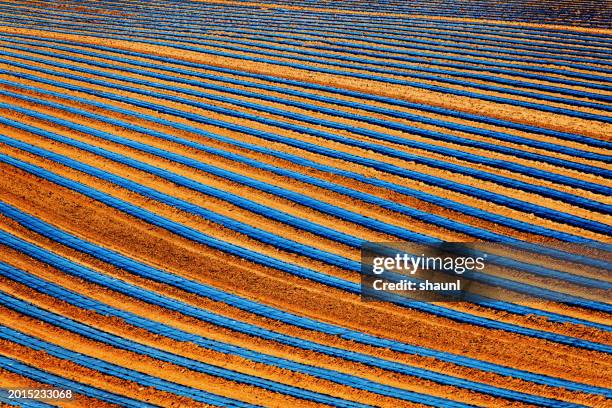 plastic sheets to warm soil - lawn aeration stock pictures, royalty-free photos & images