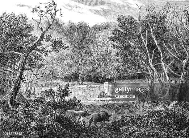 the rufus stone monument in the new forest, hampshire - new forest stock illustrations