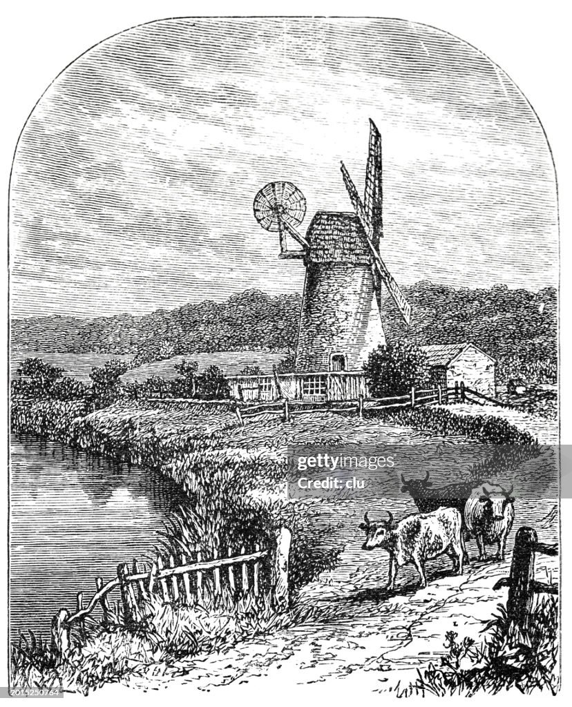 Windmill near Arundel
