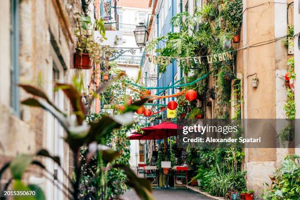 green street decorated with plants in santa catarina district, lisbon, portugal - lissabon stockfoto's en -beelden