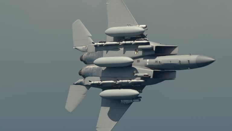 Two tactical twin jet engine fighter aircraft on a combat mission ...