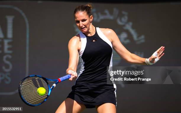 Karolina Pliskova of the Czech Republic in action against Shuai Zhang of China in the first round on Day 2 of the Dubai Duty Free Tennis...