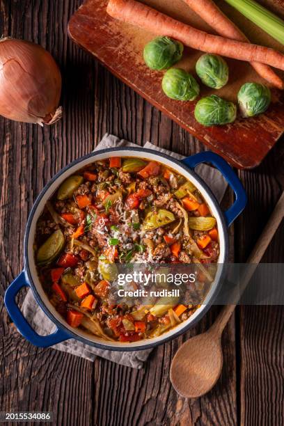 italian stew - ground beef stew stock pictures, royalty-free photos & images