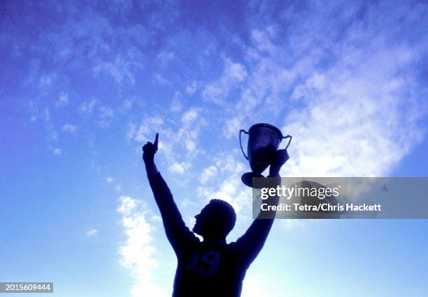 silhouette of man holding up trophy against sky - sujetar en el aire fotografías e imágenes de stock