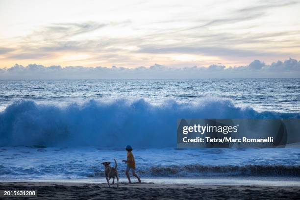 mexico, baja, pescadero, silhouette of boy and dog on beach at dusk - pet silhouette stock pictures, royalty-free photos & images