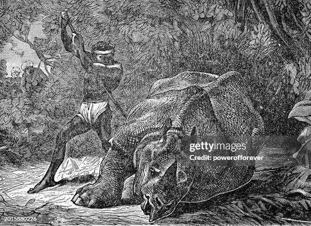 hunting rhinoceros - 19th century - javan rhino stock illustrations