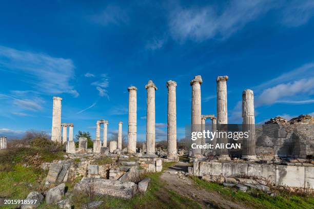 afrodisias antik kenti - afrodita-diosa-griega fotografías e imágenes de stock
