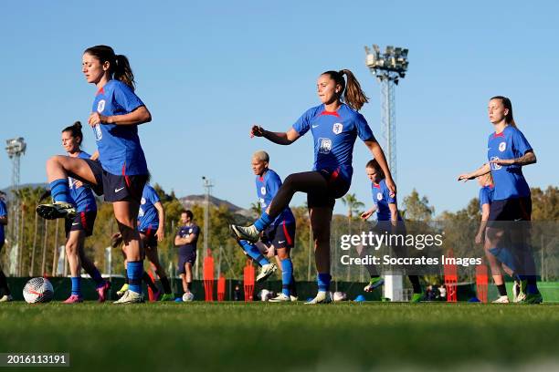 Danielle van de Donk of Holland Women, Lieke Martens of Holland Women, Lynn Wilms of Holland Women during the Training WomenTraining Holland Women at...