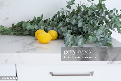 Modern white kitchen Modern white kitchen