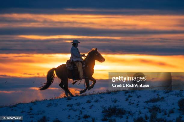 reiten auf der winterranch - pferderitt stock-fotos und bilder