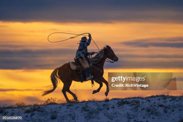 winter ranch horse riding - lasso stockfoto's en -beelden