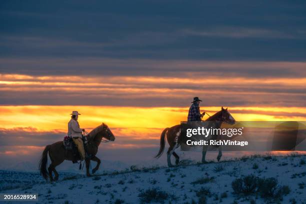 winter ranch horse riding - cowboy hat silhouette stock pictures, royalty-free photos & images