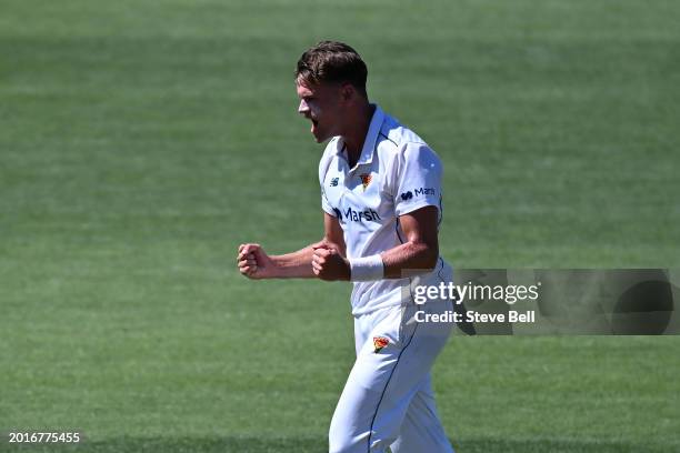 Iain Carlisle of the Tigers celebrates the wicket of Cameron Gannon of Western Australia during the Sheffield Shield match between Tasmania and...