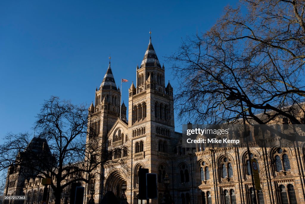 Natural History Museum In London