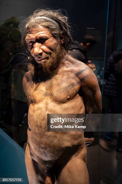 Neanderthal man at the human evolution exhibit at the Natural History Museum on 19th January 2024 in London, United Kingdom. The museum exhibits a...