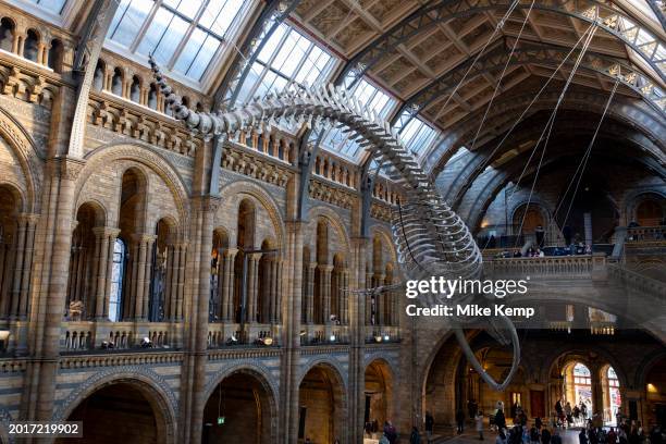 Visitors beneath the suspended skeleton of a Blue Whale in the Hintze Hall, the main entrance atrium at the Natural History Museum on 19th January...