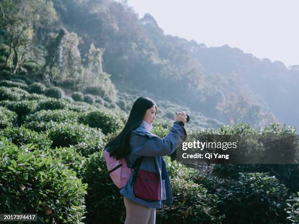 young asian female backpacker taking photos at tea plantation in the mountains - qi yang stock pictures, royalty-free photos & images